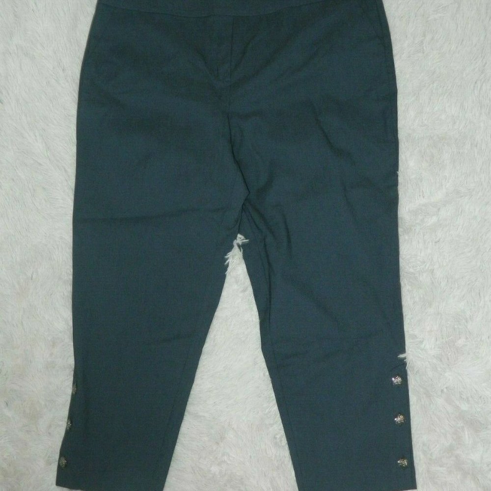 Briggs New York Pants Chambray  Women's Plus Size 24W Comfort Waist Buttons Leg